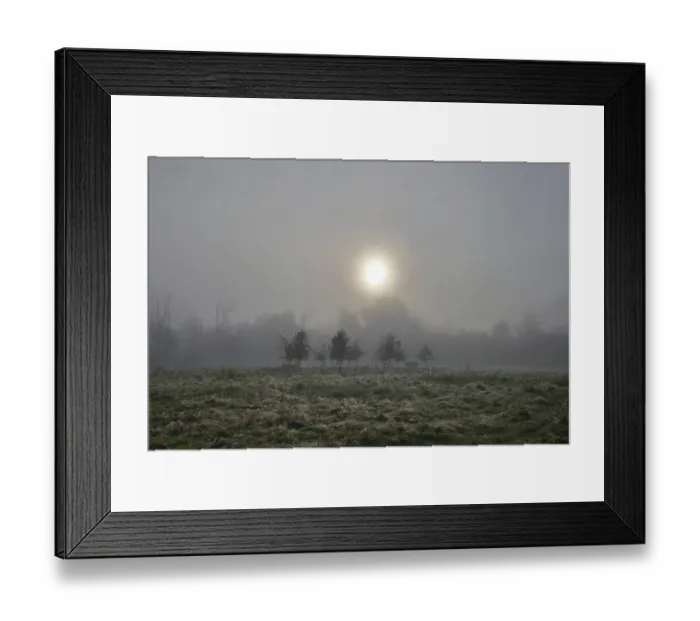Framed Print : Mystical landscape with lonely cow Framed Print : Mystical landscape with lonely cow