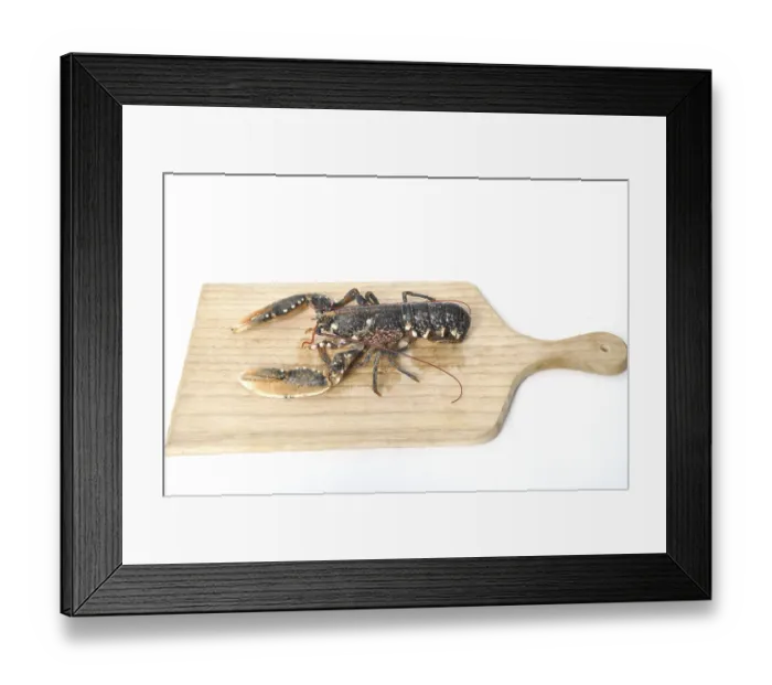 Framed Print : Breton Lobster alive on a cutting board