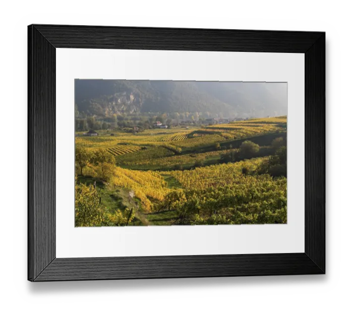 Framed Print : ibxroh04587942.jpg