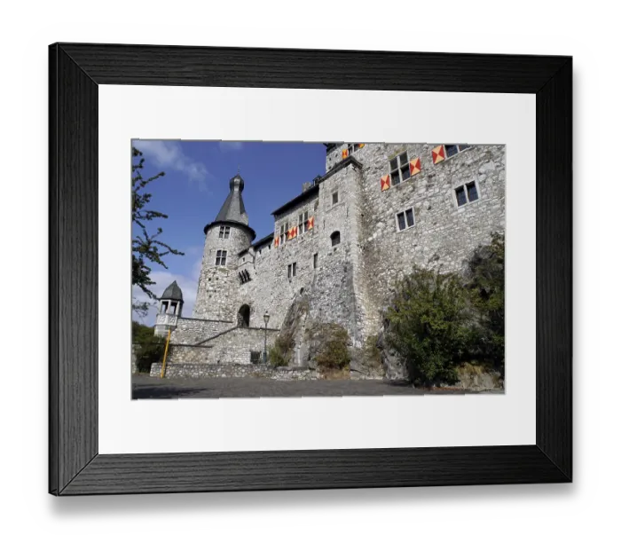 Framed Print : Stolberg Castle above the historic old town