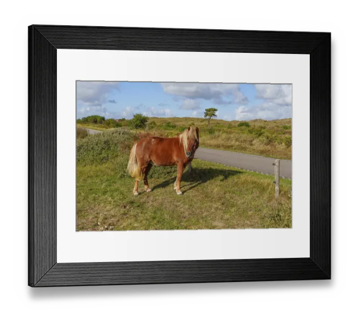 Framed Print : Brown horse looking into the camera next to a road Framed Print : Brown horse looking into the camera next to a road