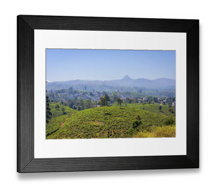 Framed Print : Tea plantations and Adams peak mountain behind