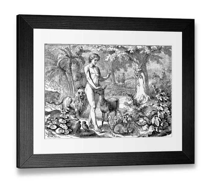 Framed Print : First Book of Genesis, chapter 1 Framed Print : First Book of Genesis, chapter 1