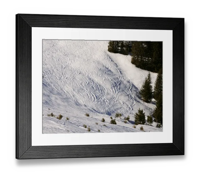 Framed Print : Ski tracks on snow with spruce or fir trees