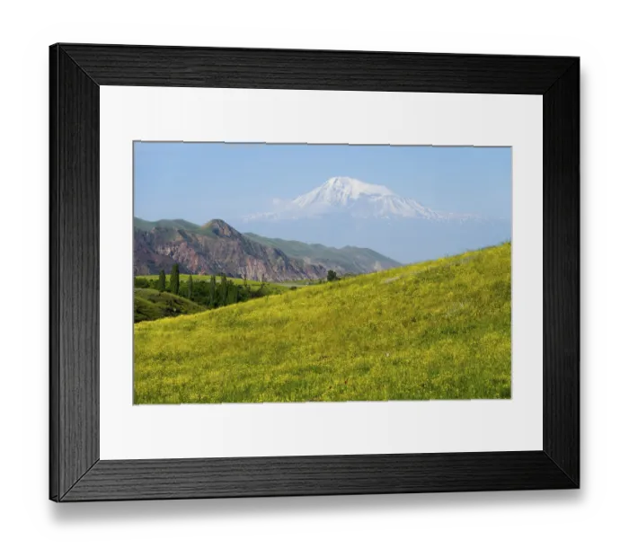 Framed Print : Panorama with snow-covered mountain in the background