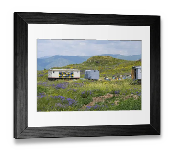 Framed Print : A rural scene with colourful bee carts and fields of flowers against a mountainous background
