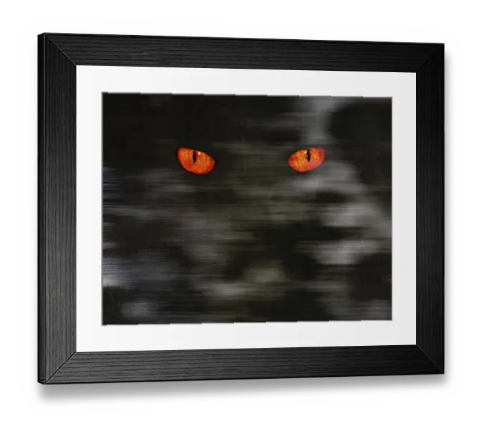 Framed Print : Animal eyes stare at something from dark wall
