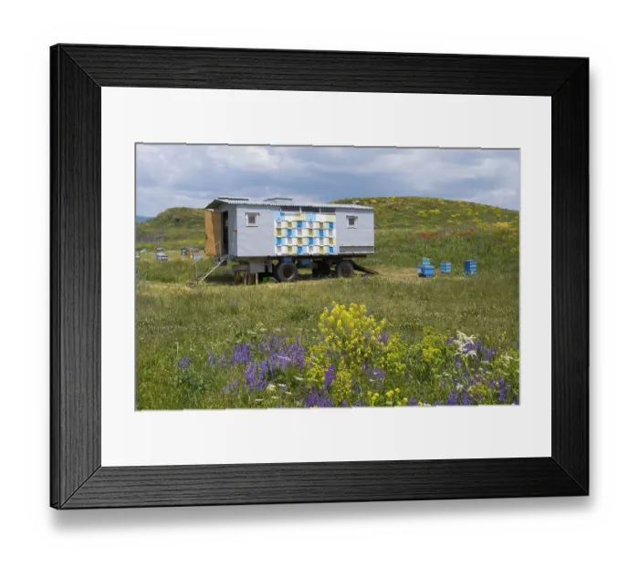 Framed Print : A trailer loaded with several beehives stands on a colourful flower meadow under a cloudy sky