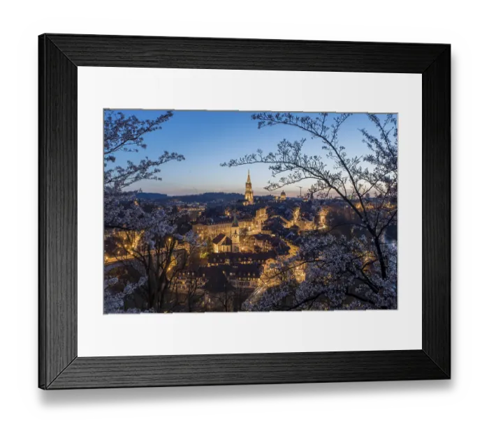 Framed Print : Rose Garden, Bern, historic old town