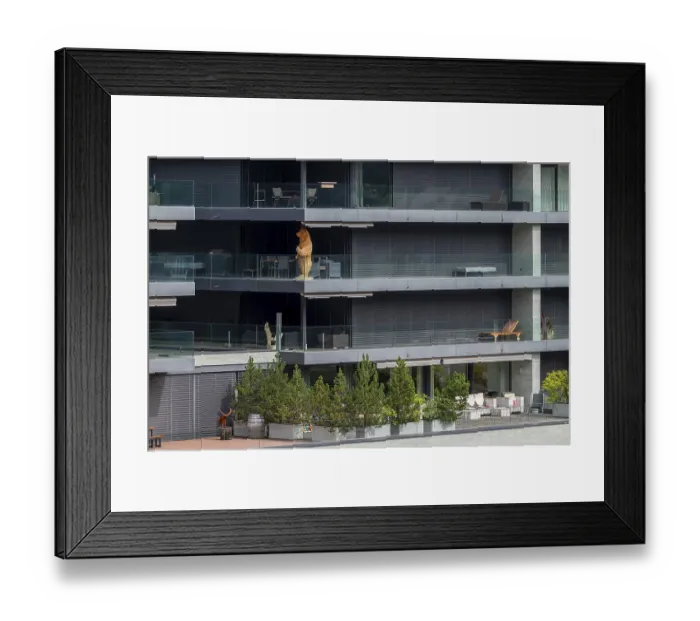 Framed Print : Apartment block, Arosa, Graubunden