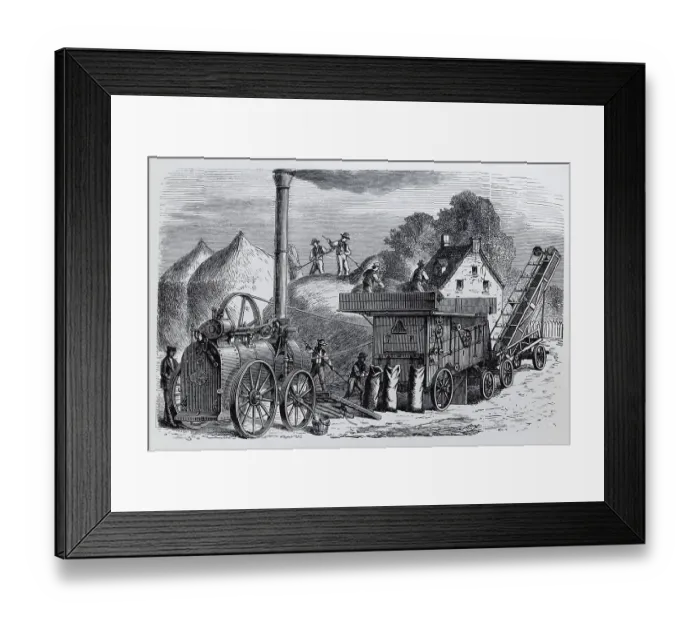 Framed Print : Steam threshing machine with staking device and straw elevator Framed Print : Steam threshing machine with staking device and straw elevator