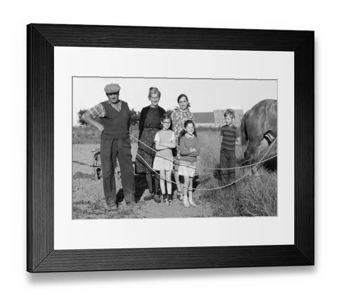 Framed Print : French farmer family with horse in the field
