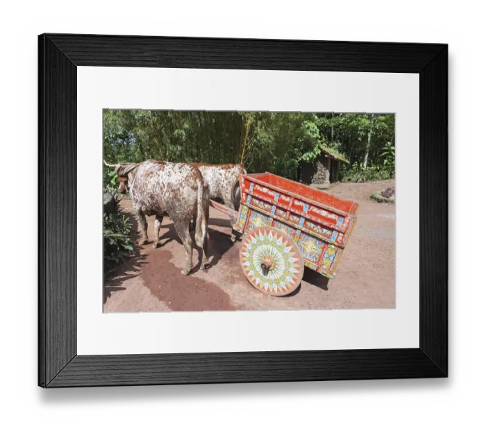 Framed Print : Decorative ox-cart, Costa Rica, Central America Framed Print : Decorative ox-cart, Costa Rica, Central America