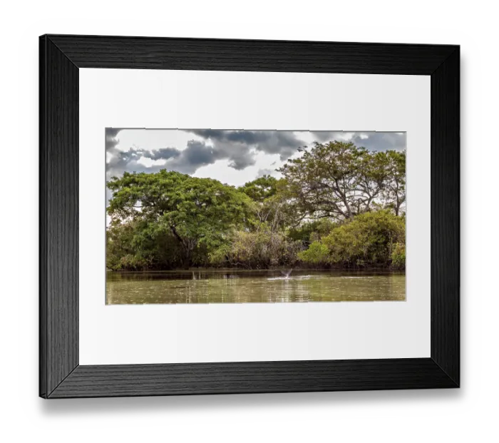 Framed Print : A calm river with overgrown banks and dramatic skies