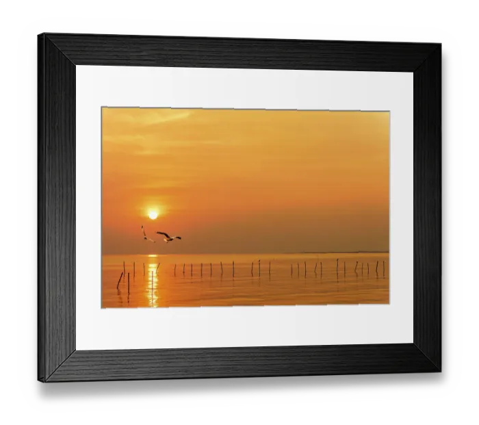 Framed Print : Pair of seagulls in yellow, orange sky and bright sun at sunrise Framed Print : Pair of seagulls in yellow, orange sky and bright sun at sunrise