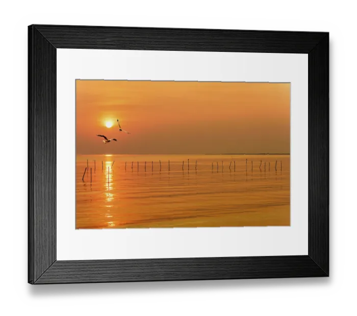 Framed Print : Pair of seagulls in yellow, orange sky and bright sun at sunrise