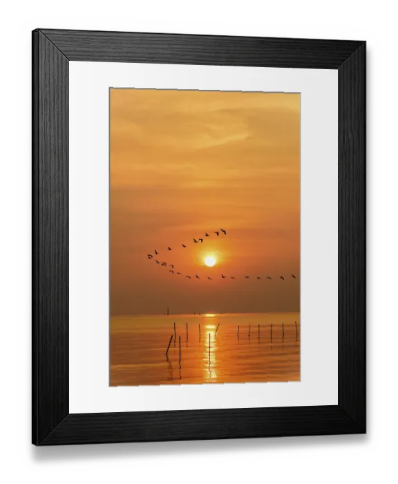 Framed Print : Flock of seagulls bird flying in a line through the bright yellow sun on orange light sky