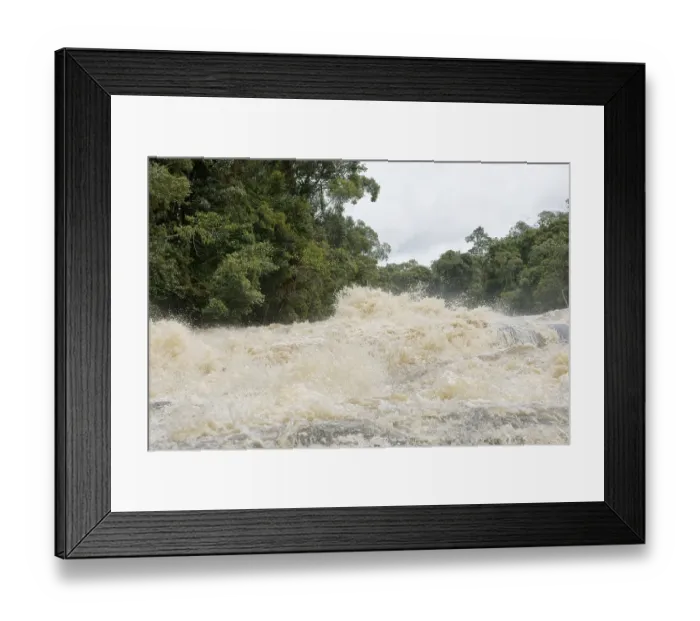 Framed Print : Forest, Water, Serra do Mar State park Framed Print : Forest, Water, Serra do Mar State park