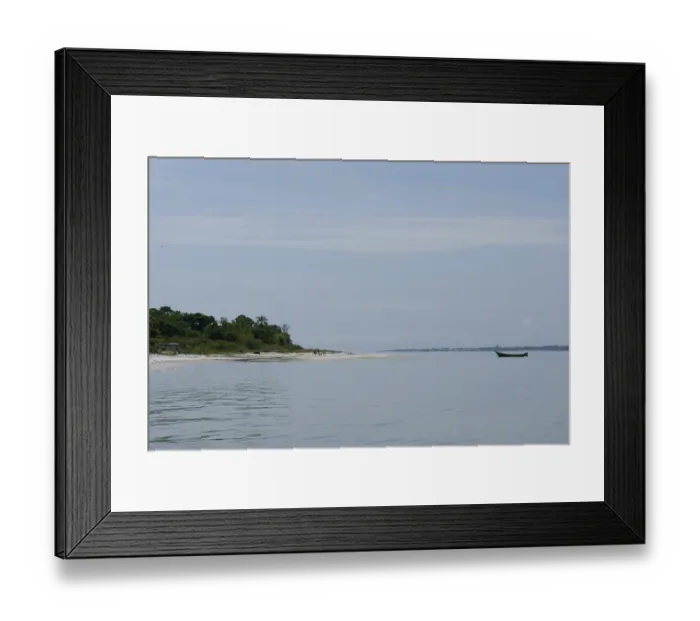 Framed Print : Dauphins, Dolphins, Beach, Ilha do Mel