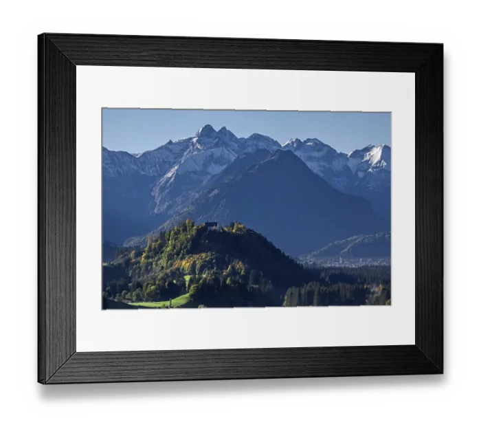Framed Print : Group of trees with cattle, snow-covered mountains of the Allgau Alps