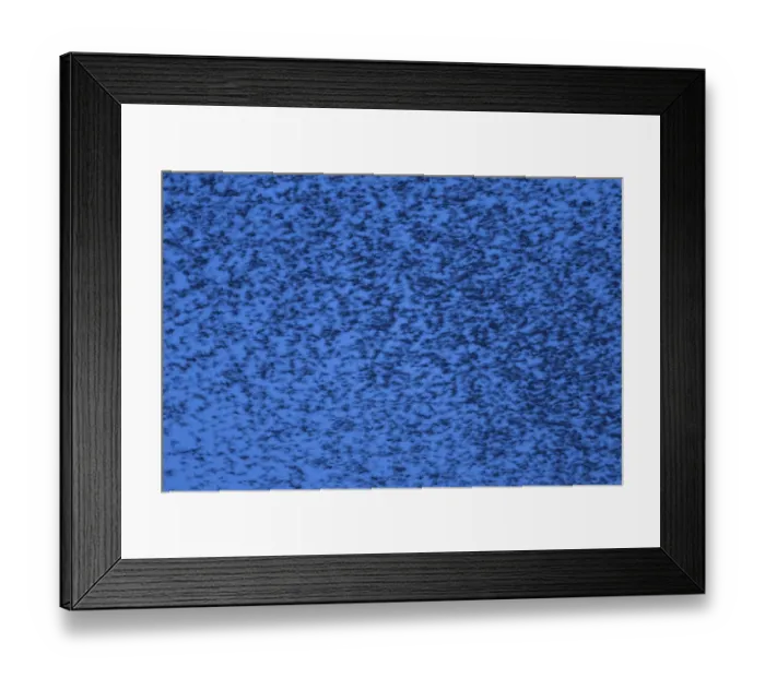 Framed Print : Eurasian starling (Sturnus vulgaris)