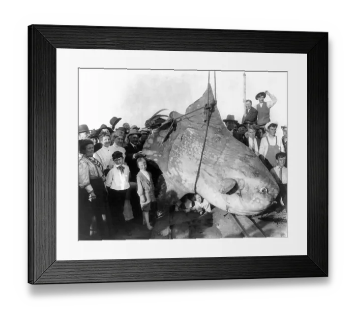 Framed Print : A group of onlookers, children