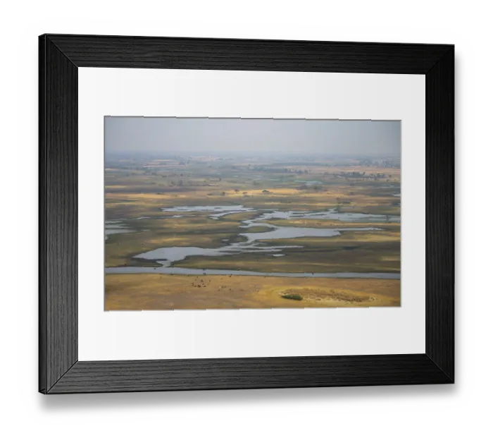 Framed Print : River landscape and grazing herd of cows