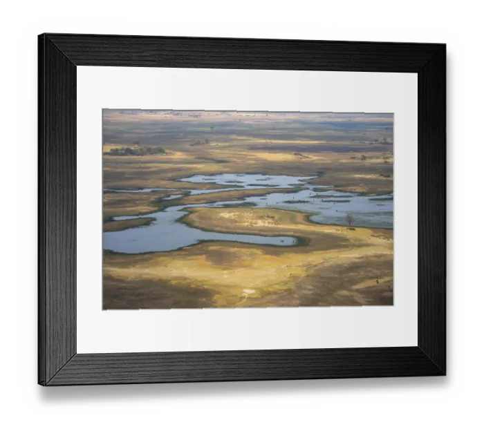 Framed Print : River landscape and grazing herd of cows Framed Print : River landscape and grazing herd of cows