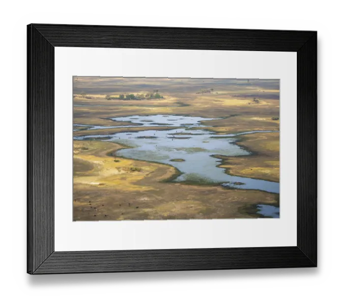 Framed Print : River landscape and grazing herd of cows Framed Print : River landscape and grazing herd of cows