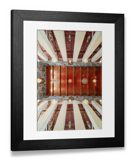 Framed Print : Photo from the frog persective