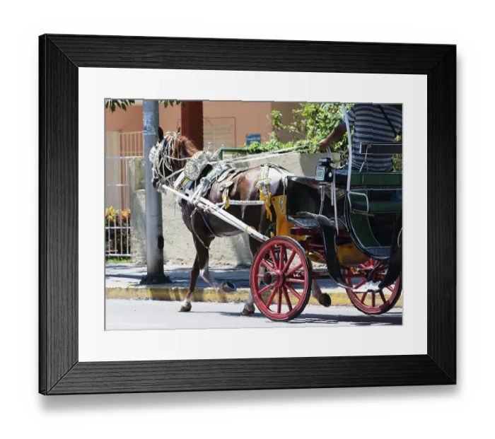 Framed Print : Horse-drawn carriage in Varadero Cuba Horse-drawn carriage in Varadero Cuba