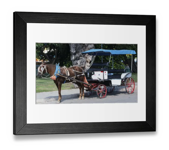 Framed Print : Horse-drawn carriage in Varadero Cuba Horse-drawn carriage in Varadero Cuba Framed Print : Horse-drawn carriage in Varadero Cuba Horse-drawn carriage in Varadero Cuba