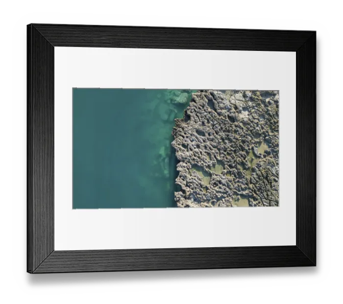 Framed Print : A rocky coast with its vegatation and inhabitants in Western Australia