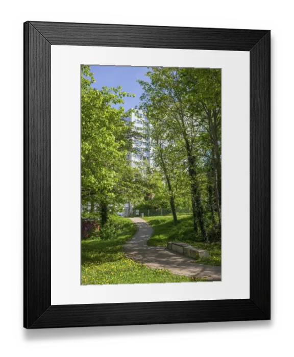 Framed Print : Grohner Dune skyscraper in spring Framed Print : Grohner Dune skyscraper in spring