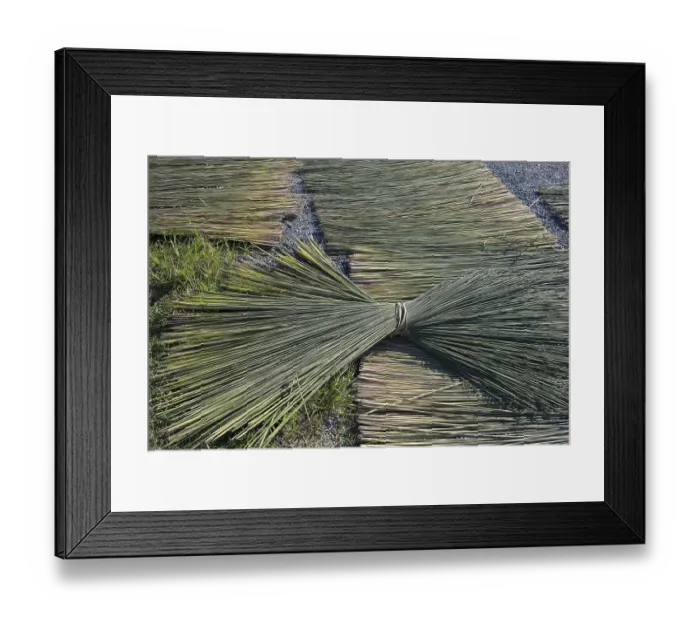 Framed Print : Thailand, Patthalung, Tale Noi