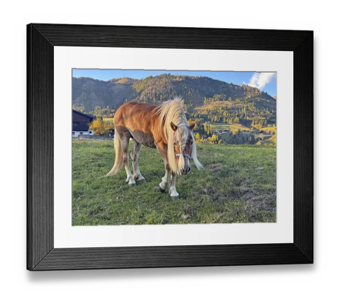 Framed Print : Horse walks across a pasture, behind it green and colorful mountain slopes