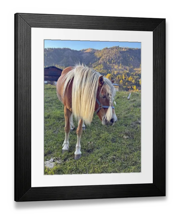 Framed Print : Horse walks across a pasture, green and colorful mountain slopes behind it
