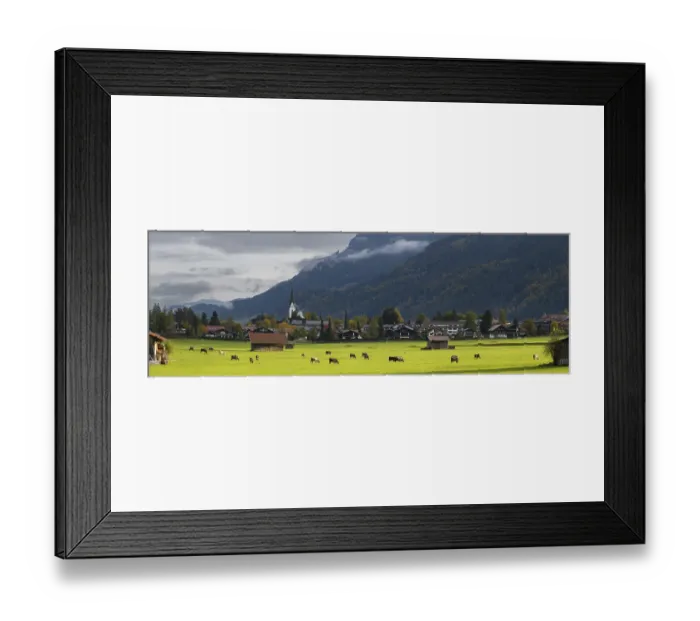 Framed Print : Cows, Allgau brown cattle Framed Print : Cows, Allgau brown cattle