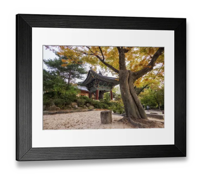 Framed Print : Gilsangsa temple autumn scenery with fall foliage surrounding the temple area