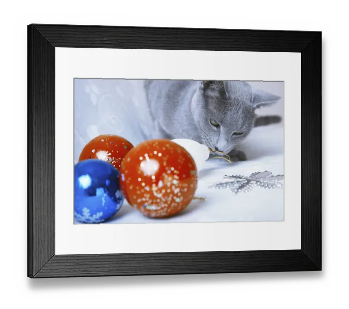 Framed Print : Cat looking at Christmas balls and decoration