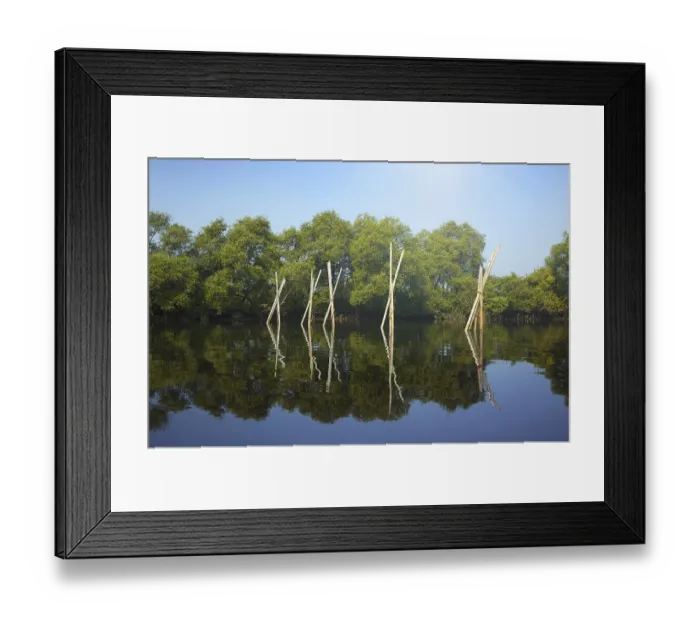 Framed Print : Wooden stick in the water for prawn fishery Framed Print : Wooden stick in the water for prawn fishery