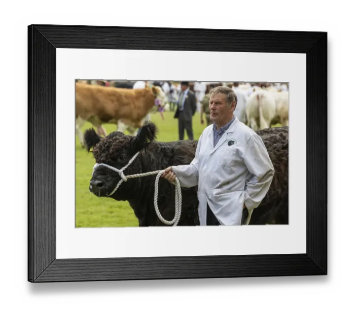 Framed Print : Harrogate, North Yorkshire, UK - July 12th Framed Print : Harrogate, North Yorkshire, UK - July 12th