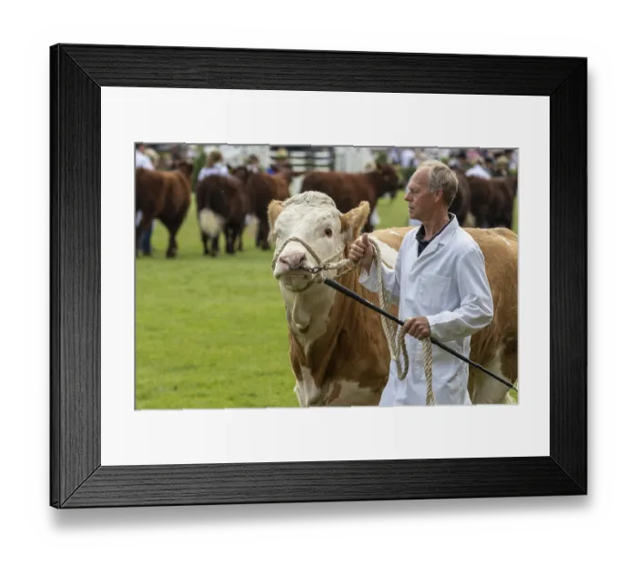 Framed Print : Harrogate, North Yorkshire, UK - July 12th