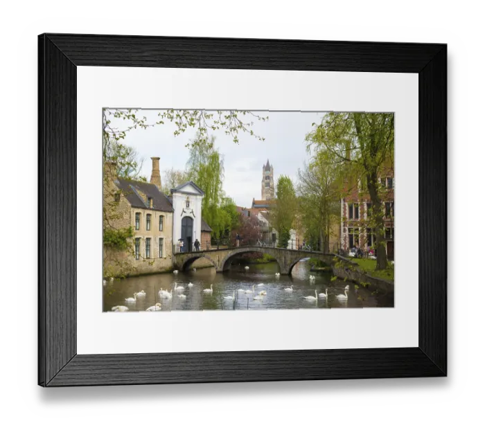 Framed Print : Bruges, Belgium - April 17, 2017: Swans in lake of love in Bruges Framed Print : Bruges, Belgium - April 17, 2017: Swans in lake of love in Bruges