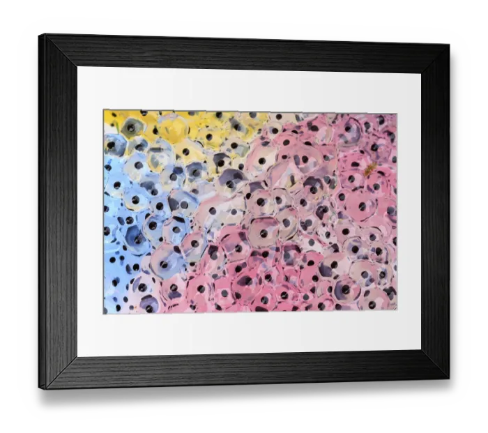 Framed Print : Colorful Frogspawn closeup in a pond