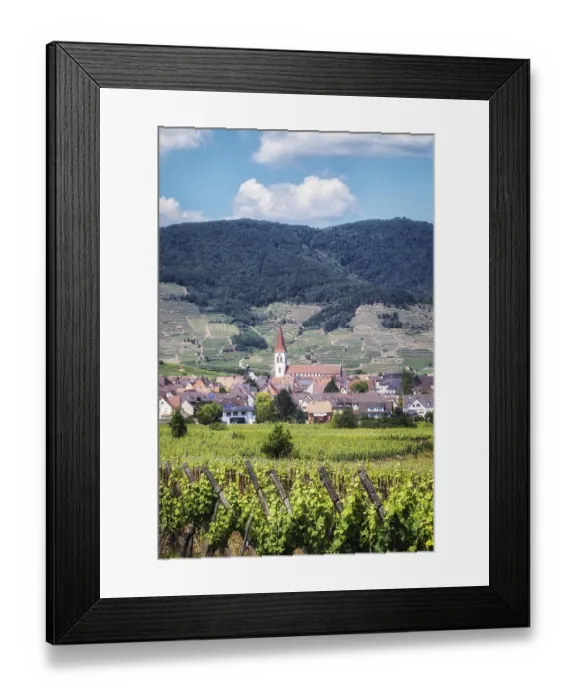 Framed Print : The view of Ammerschwihr and famous grand cru vine yards of alsace Framed Print : The view of Ammerschwihr and famous grand cru vine yards of alsace