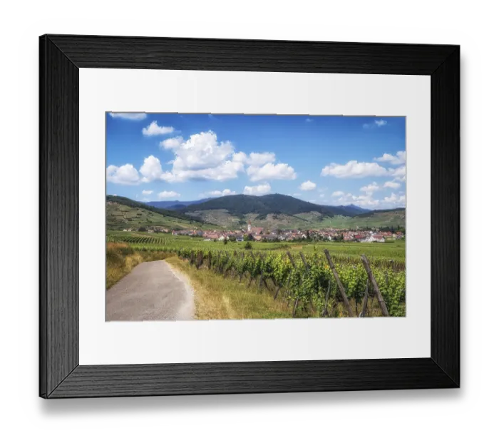 Framed Print : The view of Ammerschwihr and famous grand cru vine yards of alsace Framed Print : The view of Ammerschwihr and famous grand cru vine yards of alsace