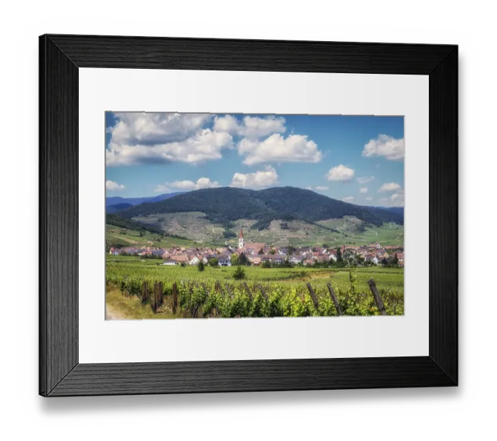 Framed Print : The view of Ammerschwihr and famous grand cru vine yards of alsace Framed Print : The view of Ammerschwihr and famous grand cru vine yards of alsace
