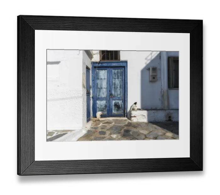 Framed Print : Cats resting along a narrow alleyways of Naxos Old Town Framed Print : Cats resting along a narrow alleyways of Naxos Old Town