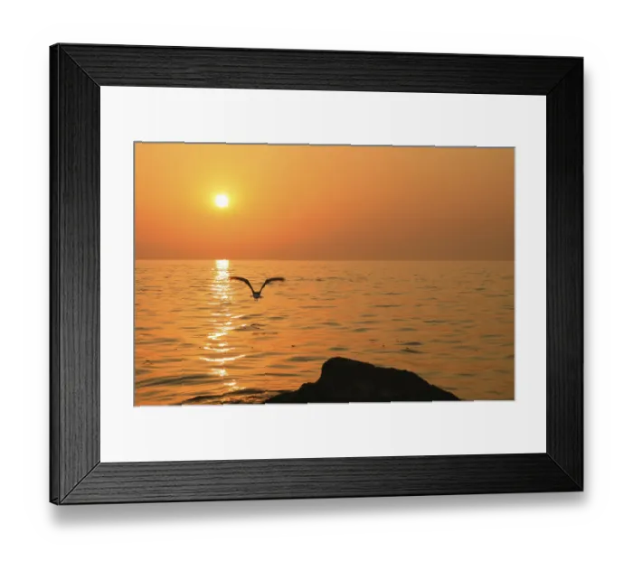 Framed Print : Bird flies above sunset sea